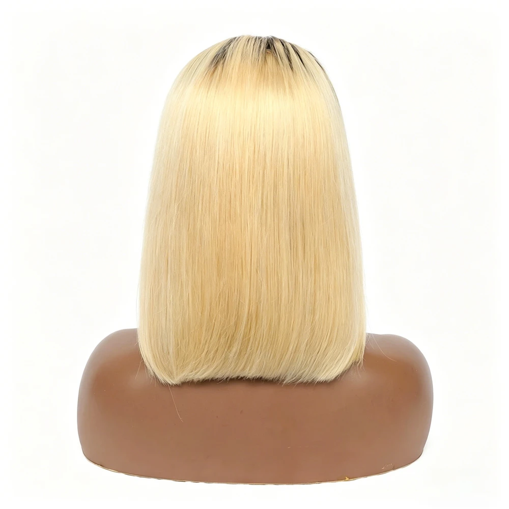 Ombre T4-613 Wig - View 4